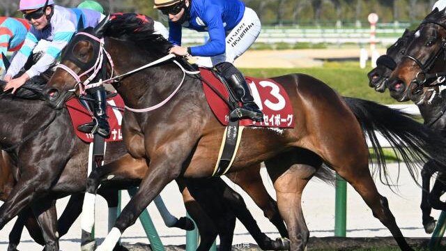 [朗報] チューリップ賞でタイセイボーグが重賞初勝利！
