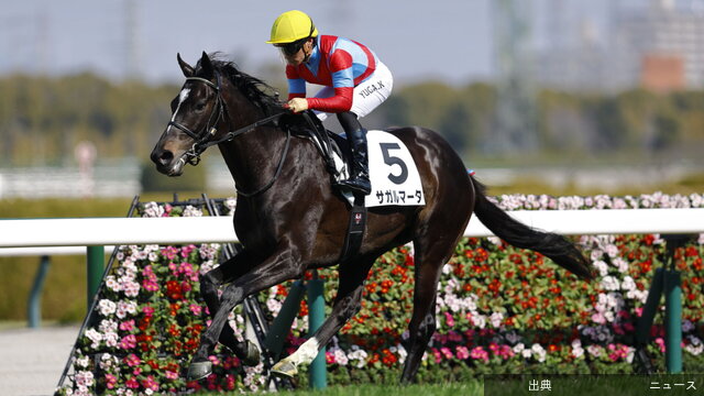 [朗報] 5億円ホースのサガルマータが初勝利！