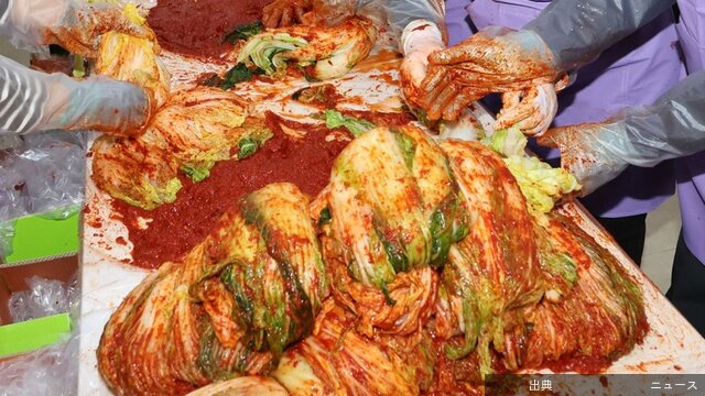[緋急]キムチの乳酸菌、体内ナノプラスチック排出を助ける可能性＝韓国…キムチに含まれる乳酸菌が、人体に蓄積され...になる模様