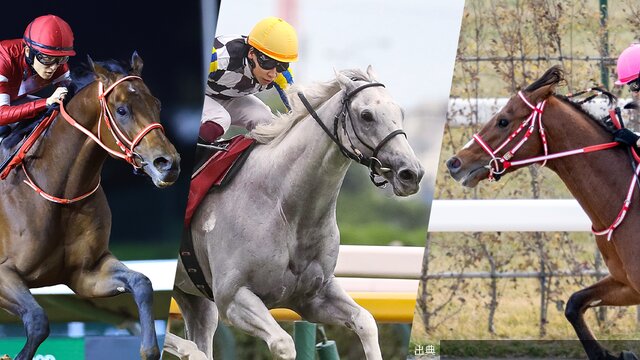 [速報]2026ドバイワールドカップの見どころ