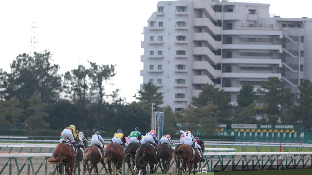 [速報] 大寒桜賞でテルヒコウが逃げ切り勝ち
