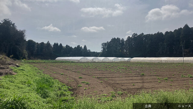 [速報] 茨城県、外国人の不法就労対策を導入