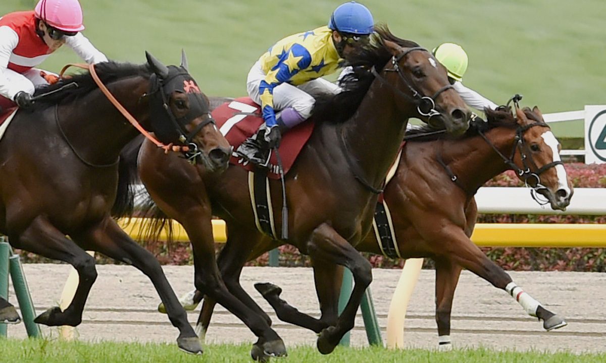 【競馬】屈腱炎で休養のシュガークン、新潟大賞典で復帰へ　鞍上は武豊　清水久師「やるごとに絞れ、坂路での動きもどんどん上がってきた」その後は宝塚記念も視野