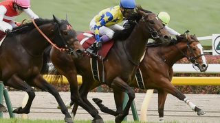 【競馬】屈腱炎で休養のシュガークン、新潟大賞典で復帰へ　鞍上は武豊　清水久師「やるごとに絞れ、坂路での動きもどんどん上がってきた」その後は宝塚記念も視野