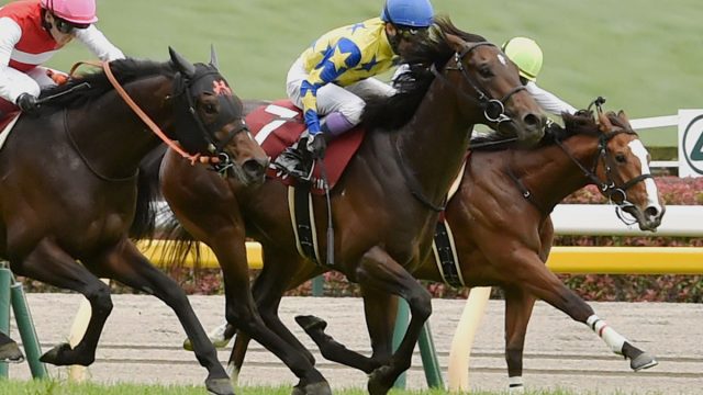 【競馬】屈腱炎で休養のシュガークン、新潟大賞典で復帰へ　鞍上は武豊　清水久師「やるごとに絞れ、坂路での動きもどんどん上がってきた」その後は宝塚記念も視野