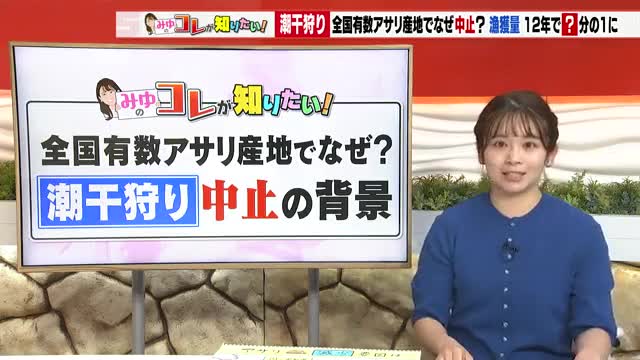 【テレビ愛知】愛知県で潮干狩りが続々中止に　問題はアサリ　12年で漁獲量が16分の1に激減　南知多町・山田海岸は2026年初の中止