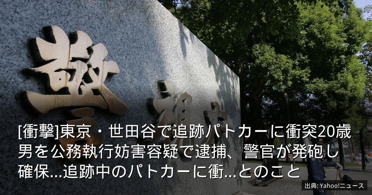 [衝撃]東京・世田谷で追跡パトカーに衝突20歳男を公務執行妨害容疑で逮捕、警官が発砲し確保…追跡中のパトカーに衝...とのこと