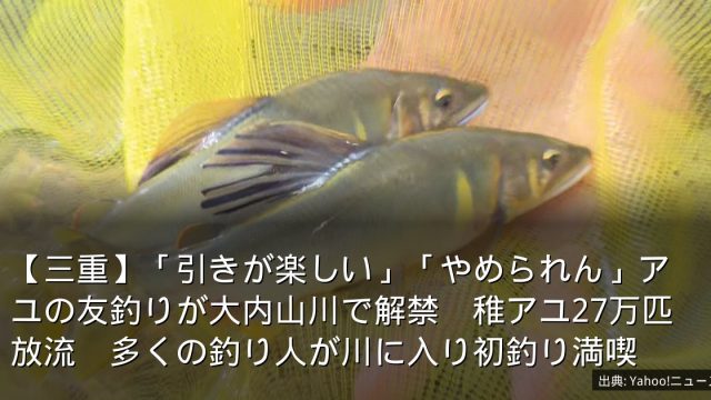 【三重】「引きが楽しい」「やめられん」アユの友釣りが大内山川で解禁　稚アユ27万匹放流　多くの釣り人が川に入り初釣り満喫