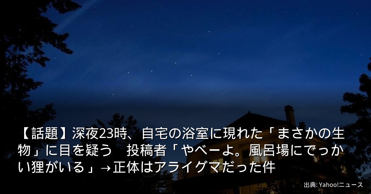 【話題】深夜23時、自宅の浴室に現れた「まさかの生物」に目を疑う　投稿者「やべーよ。風呂場にでっかい狸がいる」→正体はアライグマだった件