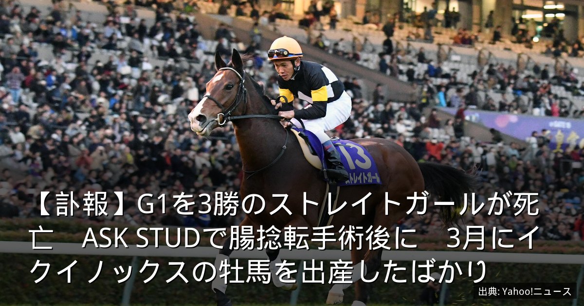 【訃報】G1を3勝のストレイトガールが死亡　ASK STUDで腸捻転手術後に　3月にイクイノックスの牡馬を出産したばかり