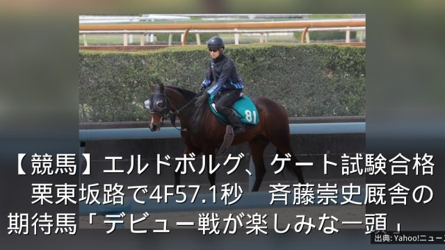【競馬】エルドボルグ、ゲート試験合格　栗東坂路で4F57.1秒　斉藤崇史厩舎の期待馬「デビュー戦が楽しみな一頭」