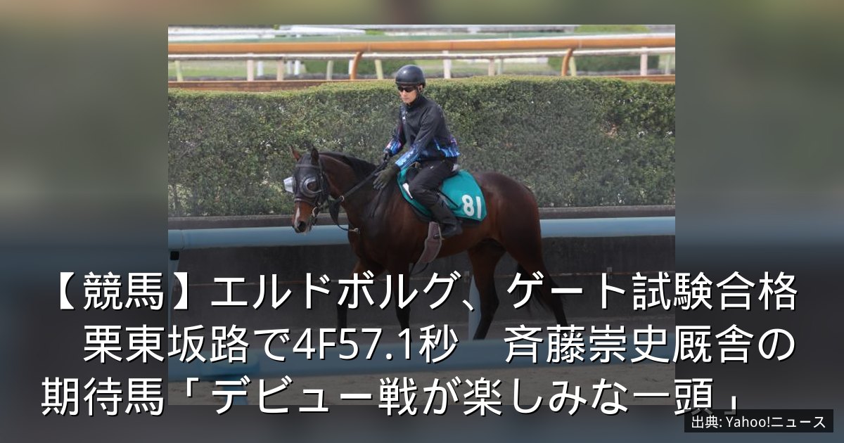 【競馬】エルドボルグ、ゲート試験合格　栗東坂路で4F57.1秒　斉藤崇史厩舎の期待馬「デビュー戦が楽しみな一頭」