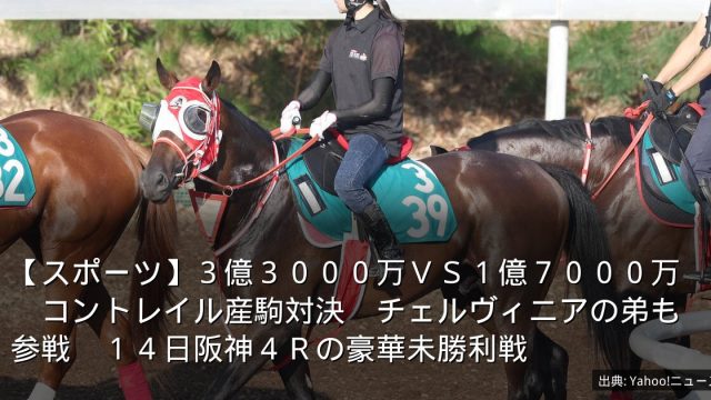 【スポーツ】３億３０００万ＶＳ１億７０００万　コントレイル産駒対決　チェルヴィニアの弟も参戦　１４日阪神４Ｒの豪華未勝利戦