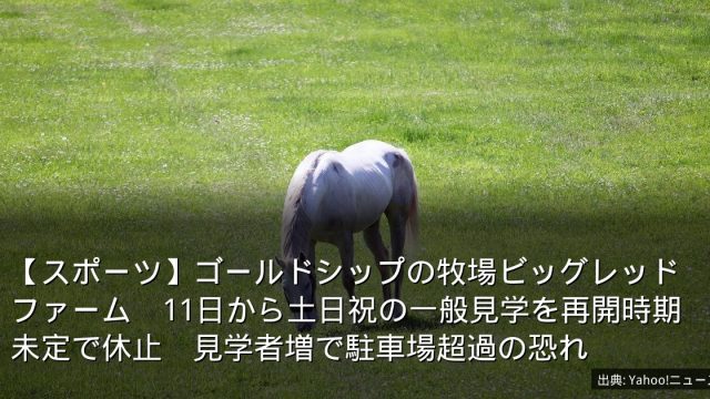 【スポーツ】ゴールドシップの牧場ビッグレッドファーム　11日から土日祝の一般見学を再開時期未定で休止　見学者増で駐車場超過の恐れ