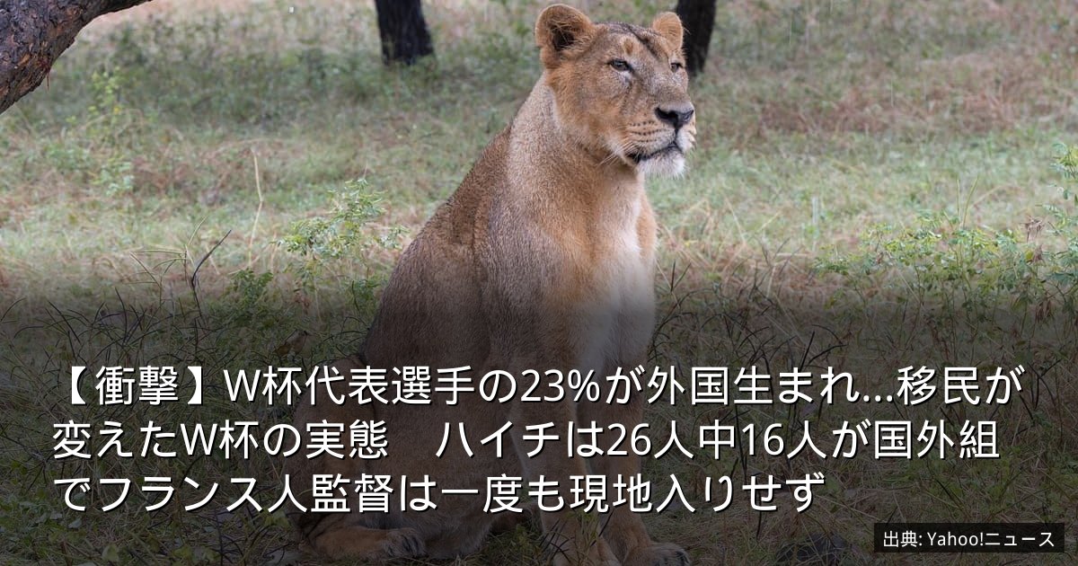 【衝撃】W杯代表選手の23%が外国生まれ…移民が変えたW杯の実態　ハイチは26人中16人が国外組でフランス人監督は一度も現地入りせず