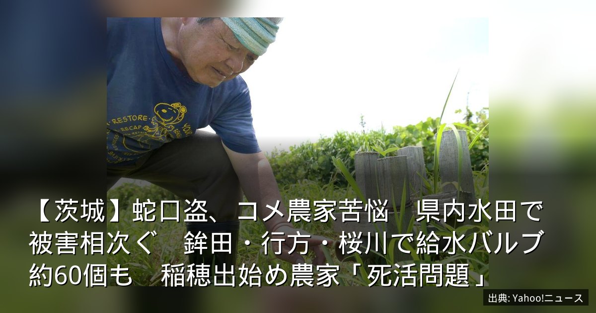 【茨城】蛇口盗、コメ農家苦悩　県内水田で被害相次ぐ　鉾田・行方・桜川で給水バルブ約60個も　稲穂出始め農家「死活問題」