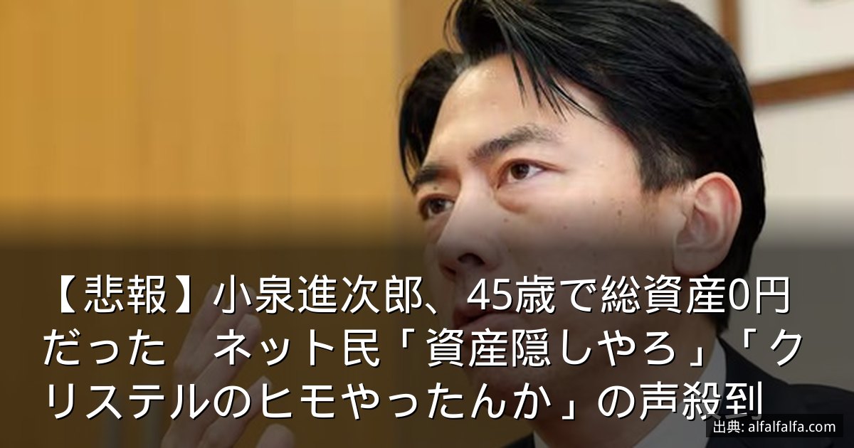 【悲報】小泉進次郎、45歳で総資産0円だった　ネット民「資産隠しやろ」「クリステルのヒモやったんか」の声殺到