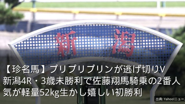【珍名馬】プリプリプリンが逃げ切りV　新潟4R・3歳未勝利で佐藤翔馬騎乗の2番人気が軽量52kg生かし嬉しい初勝利