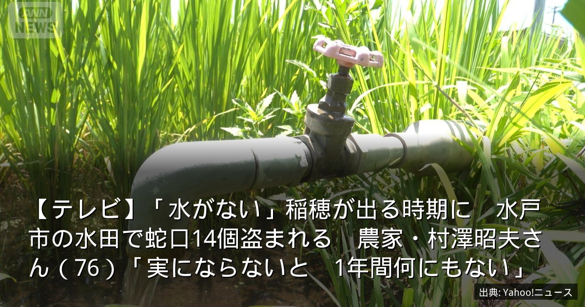 【テレビ】「水がない」稲穂が出る時期に　水戸市の水田で蛇口14個盗まれる　農家・村澤昭夫さん（76）「実にならないと　1年間何にもない」