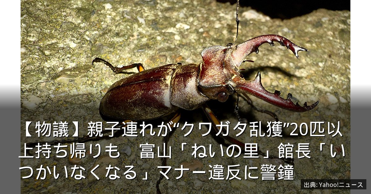 【物議】親子連れが“クワガタ乱獲”20匹以上持ち帰りも　富山「ねいの里」館長「いつかいなくなる」マナー違反に警鐘