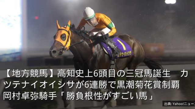 【地方競馬】高知史上6頭目の三冠馬誕生　カツテナイオイシサが6連勝で黒潮菊花賞制覇　岡村卓弥騎手「勝負根性がすごい馬」
