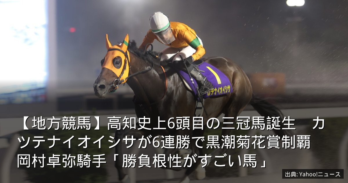 【地方競馬】高知史上6頭目の三冠馬誕生　カツテナイオイシサが6連勝で黒潮菊花賞制覇　岡村卓弥騎手「勝負根性がすごい馬」