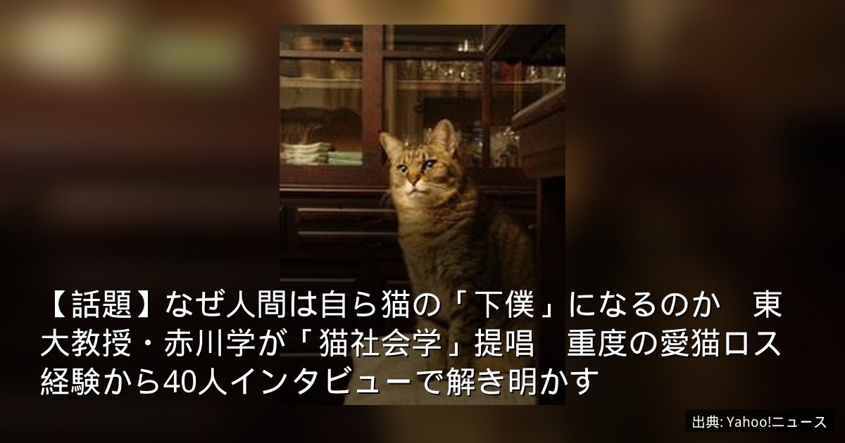 【話題】なぜ人間は自ら猫の「下僕」になるのか　東大教授・赤川学が「猫社会学」提唱　重度の愛猫ロス経験から40人インタビューで解き明かす