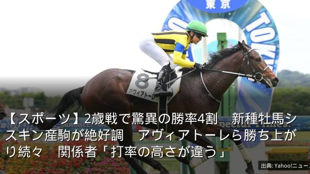 【スポーツ】2歳戦で驚異の勝率4割　新種牡馬シスキン産駒が絶好調　アヴィアトーレら勝ち上がり続々　関係者「打率の高さが違う」