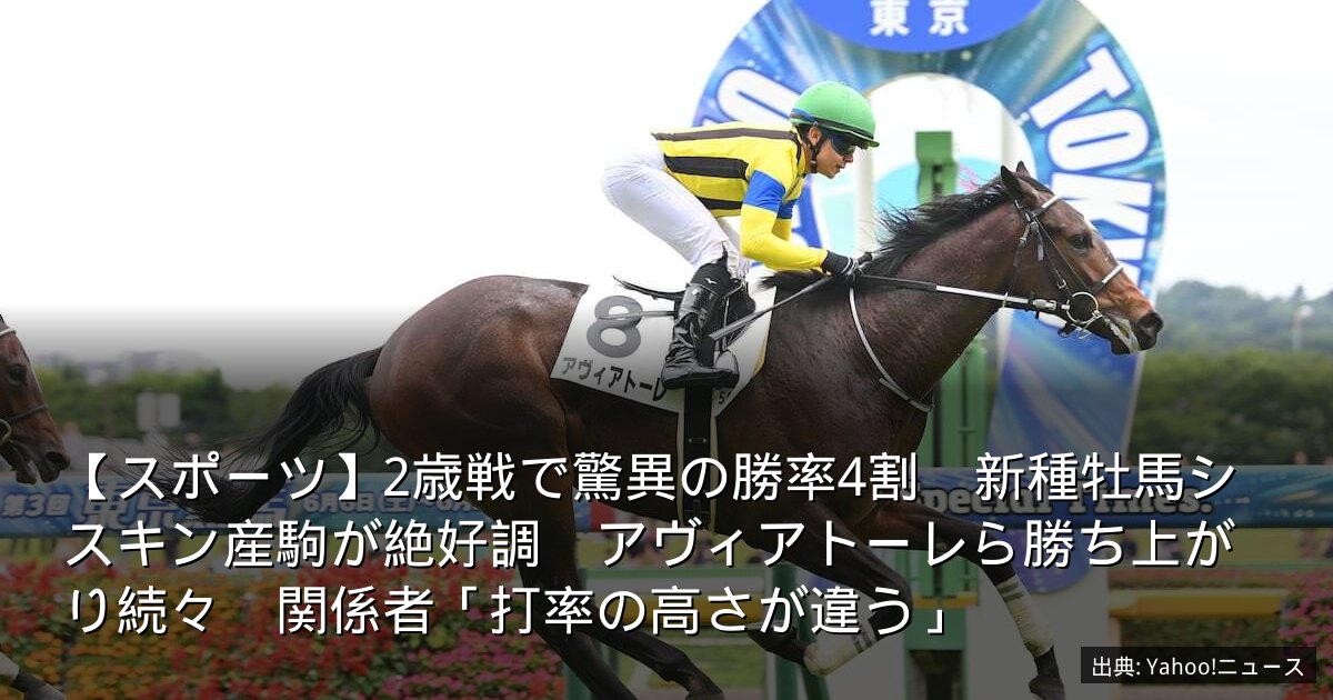【スポーツ】2歳戦で驚異の勝率4割　新種牡馬シスキン産駒が絶好調　アヴィアトーレら勝ち上がり続々　関係者「打率の高さが違う」