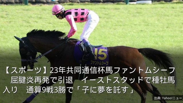【スポーツ】23年共同通信杯馬ファントムシーフ　屈腱炎再発で引退　イーストスタッドで種牡馬入り　通算9戦3勝で「子に夢を託す」