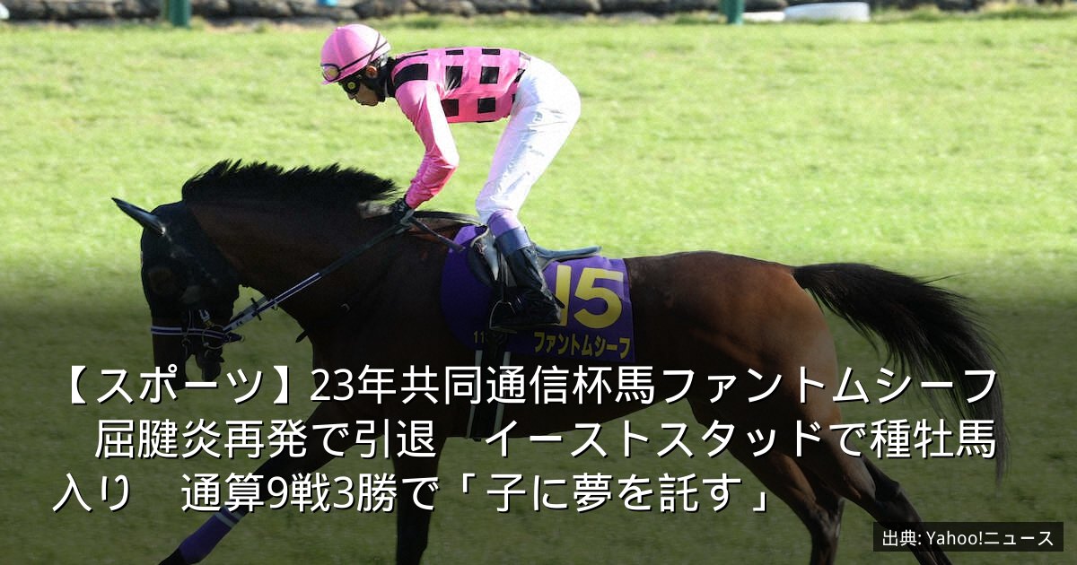 【スポーツ】23年共同通信杯馬ファントムシーフ　屈腱炎再発で引退　イーストスタッドで種牡馬入り　通算9戦3勝で「子に夢を託す」