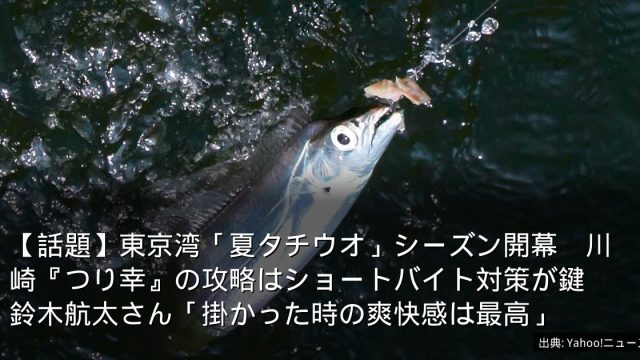 【話題】東京湾「夏タチウオ」シーズン開幕　川崎『つり幸』の攻略はショートバイト対策が鍵　鈴木航太さん「掛かった時の爽快感は最高」