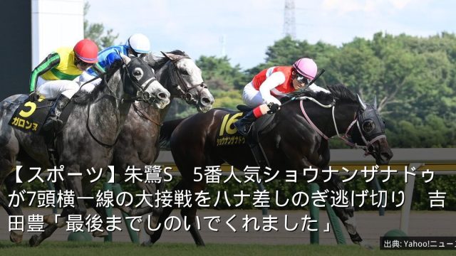 【スポーツ】朱鷺S　5番人気ショウナンザナドゥが7頭横一線の大接戦をハナ差しのぎ逃げ切り　吉田豊「最後までしのいでくれました」