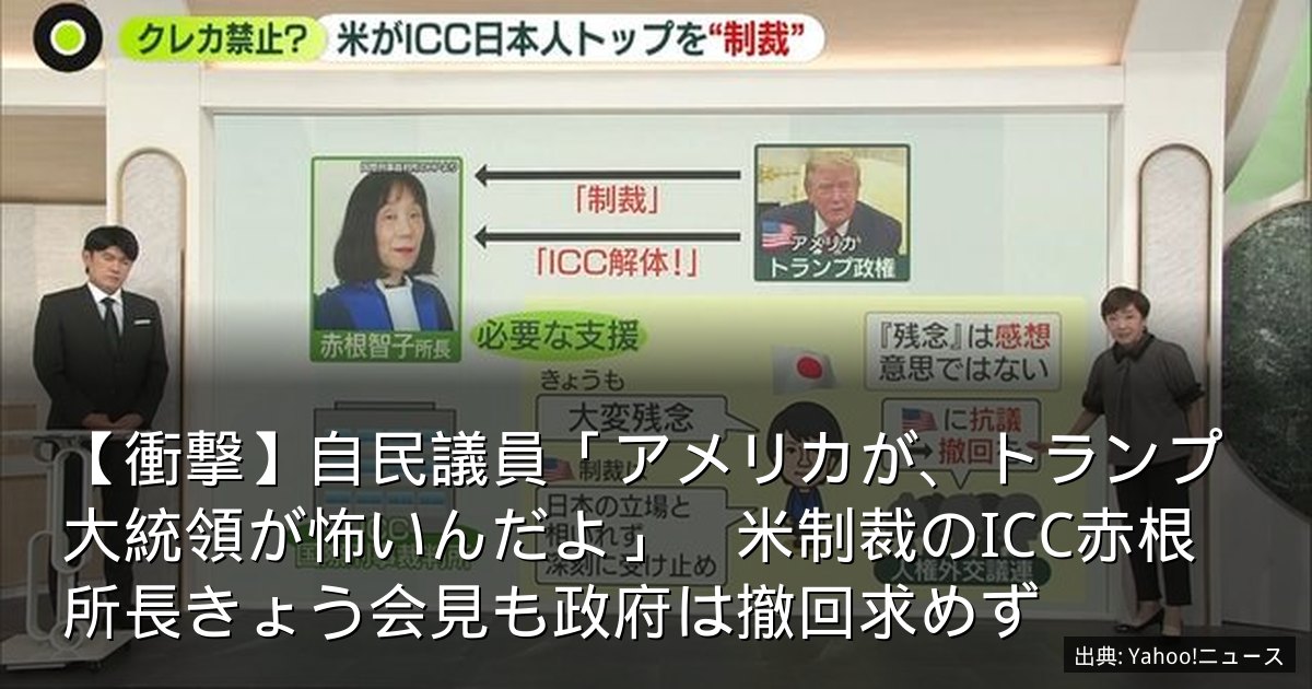 【衝撃】自民議員「アメリカが、トランプ大統領が怖いんだよ」　米制裁のICC赤根所長きょう会見も政府は撤回求めず