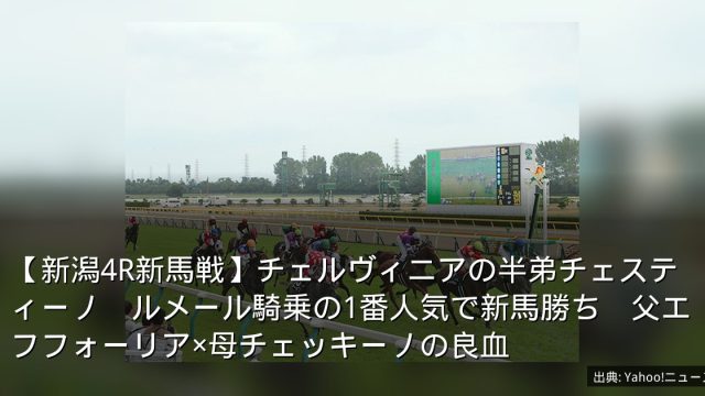 【新潟4R新馬戦】チェルヴィニアの半弟チェスティーノ　ルメール騎乗の1番人気で新馬勝ち　父エフフォーリア×母チェッキーノの良血
