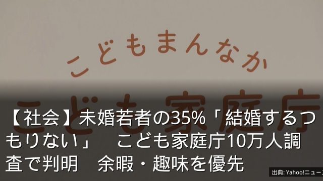 【社会】未婚若者の35%「結婚するつもりない」　こども家庭庁10万人調査で判明　余暇・趣味を優先