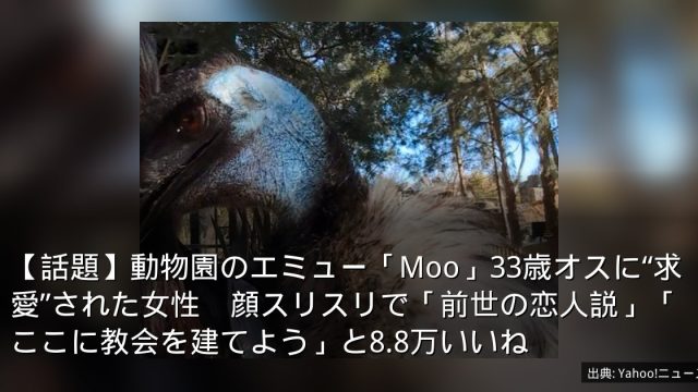 【話題】動物園のエミュー「Moo」33歳オスに“求愛”された女性　顔スリスリで「前世の恋人説」「ここに教会を建てよう」と8.8万いいね