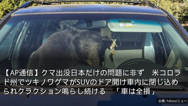 【AP通信】クマ出没日本だけの問題に非ず　米コロラド州でツキノワグマがSUVのドア開け車内に閉じ込められクラクション鳴らし続ける　「車は全損」