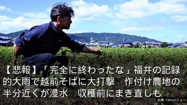 【悲報】「完全に終わったな」福井の記録的大雨で越前そばに大打撃　作付け農地の半分近くが浸水　収穫前にまき直しも
