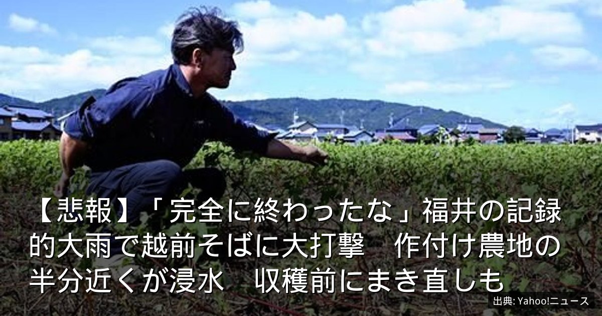 【悲報】「完全に終わったな」福井の記録的大雨で越前そばに大打撃　作付け農地の半分近くが浸水　収穫前にまき直しも