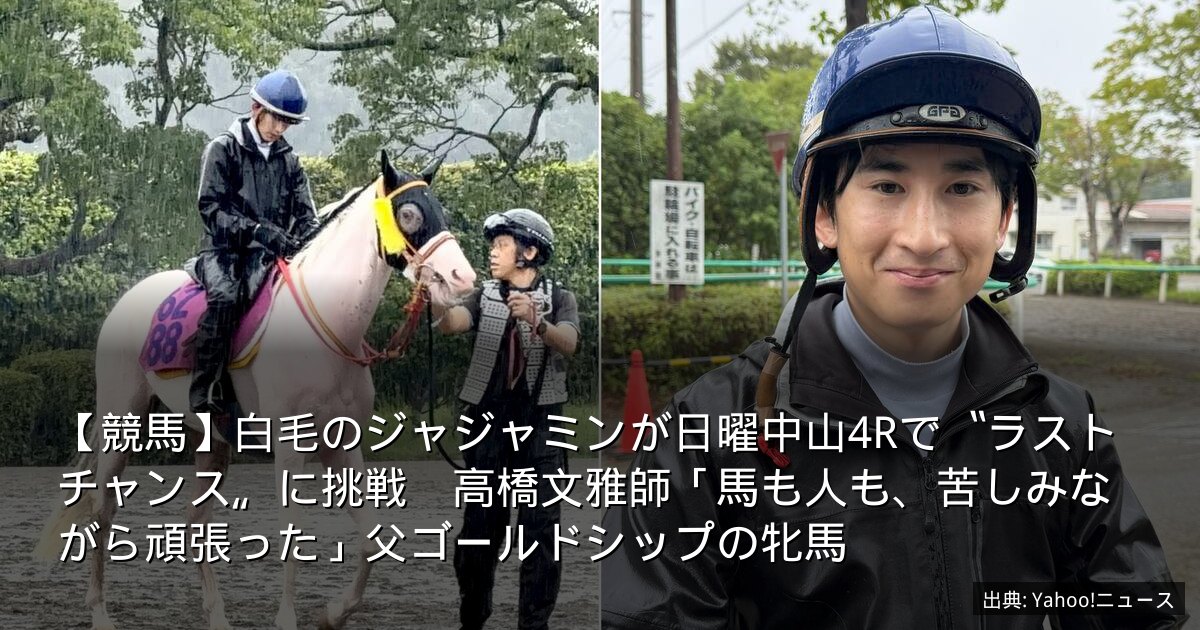 【競馬】白毛のジャジャミンが日曜中山4Rで〝ラストチャンス〟に挑戦　高橋文雅師「馬も人も、苦しみながら頑張った」父ゴールドシップの牝馬