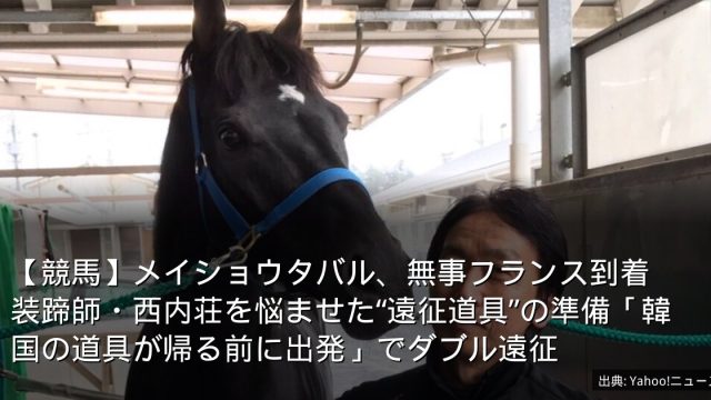 【競馬】メイショウタバル、無事フランス到着　装蹄師・西内荘を悩ませた“遠征道具”の準備「韓国の道具が帰る前に出発」でダブル遠征