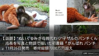 【話題】“ぬいぐるみが母親代わり”子ザルのパンチくん　成長を写真と物語で描いた初書籍『がんばれ パンチ』11月26日発売　寄付総額7000万円超え
