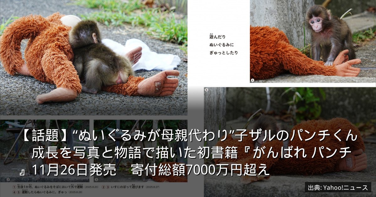【話題】“ぬいぐるみが母親代わり”子ザルのパンチくん　成長を写真と物語で描いた初書籍『がんばれ パンチ』11月26日発売　寄付総額7000万円超え