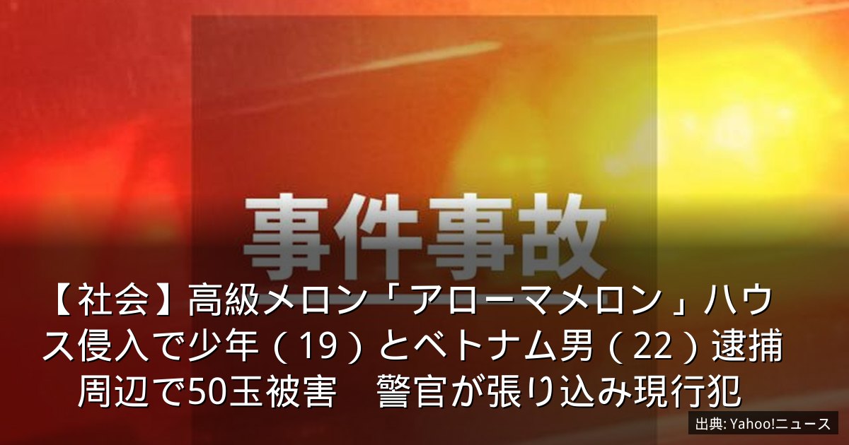 【社会】高級メロン「アローマメロン」ハウス侵入で少年（19）とベトナム男（22）逮捕　周辺で50玉被害　警官が張り込み現行犯