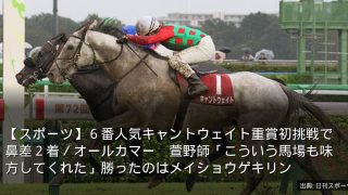 【スポーツ】６番人気キャントウェイト重賞初挑戦で鼻差２着／オールカマー　萱野師「こういう馬場も味方してくれた」勝ったのはメイショウゲキリン