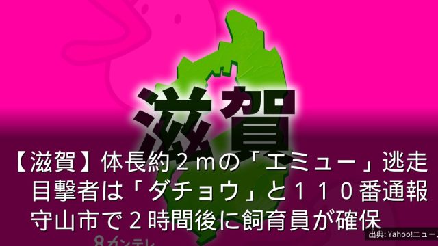 【滋賀】体長約２ｍの「エミュー」逃走　目撃者は「ダチョウ」と１１０番通報　守山市で２時間後に飼育員が確保