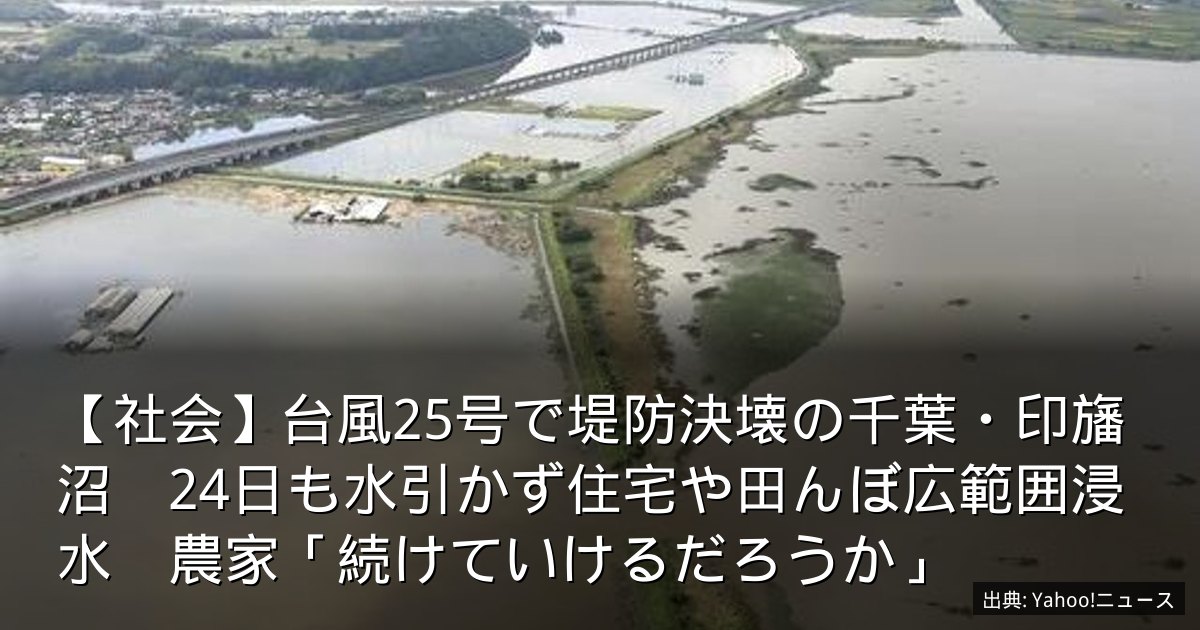 【社会】台風25号で堤防決壊の千葉・印旛沼　24日も水引かず住宅や田んぼ広範囲浸水　農家「続けていけるだろうか」
